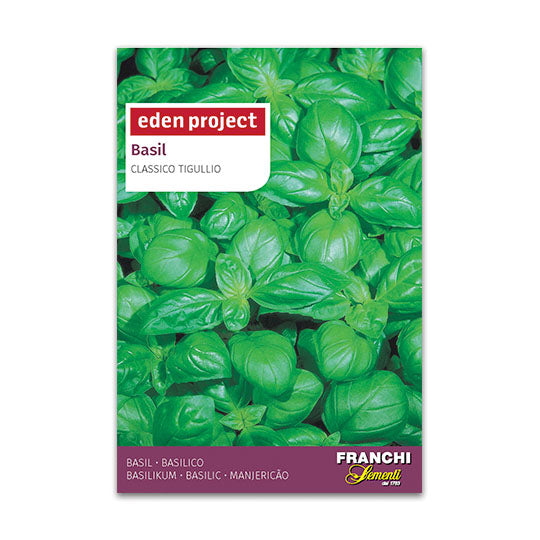 Eden Project Basil ‘Classico Tigullio’ - Ocimum basilicum