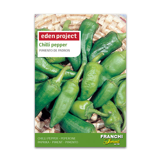 Eden Project Chilli Pepper Pimiento de ‘Padron’ (A) Capsicum annuum L.